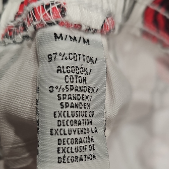 Floral Striped Shorts with Red Roses - Picture 9 of 9